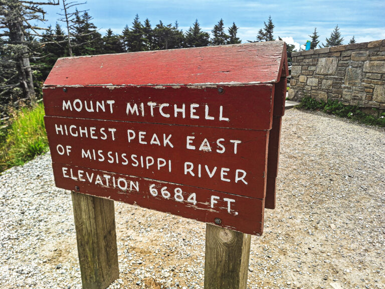 Girl Solo: How to Hike Mount Mitchell in One Day