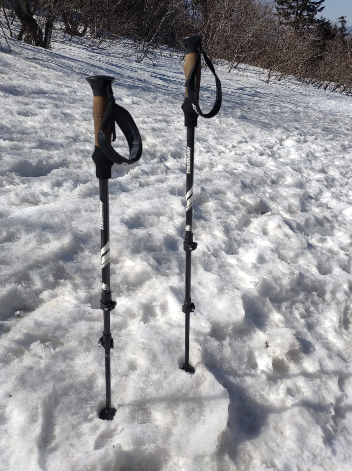 Why Trekking Poles and How to Choose the Best for Your Needs