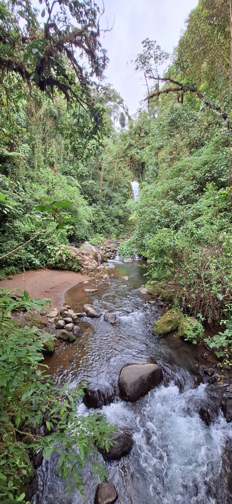 Waterfalls in La Paz Waterfall Gardens Costa Rica