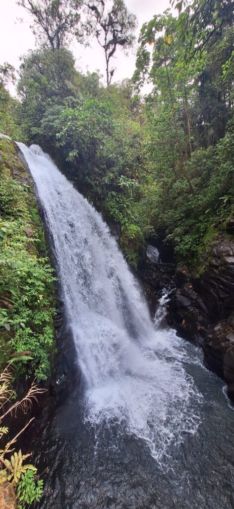 Waterfalls in La Paz Waterfall Gardens Costa Rica