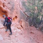 There I was, gasping at the beauty and splendor of Zion National Park! With its towering cliffs, narrow gorges, the Virgin River, and stunning vistas, Zion is truly a jewel of the American Southwest. Hikers of all levels can bask in the beauty of this park via many trail choices.