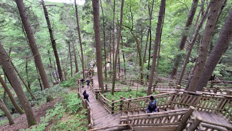 Epic Hike of the Niagara Falls of Pennsylvania