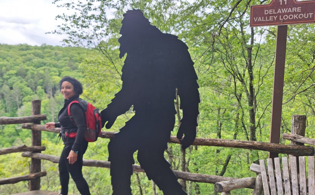Big Foot at Delaware Lookout Bushkill Falls