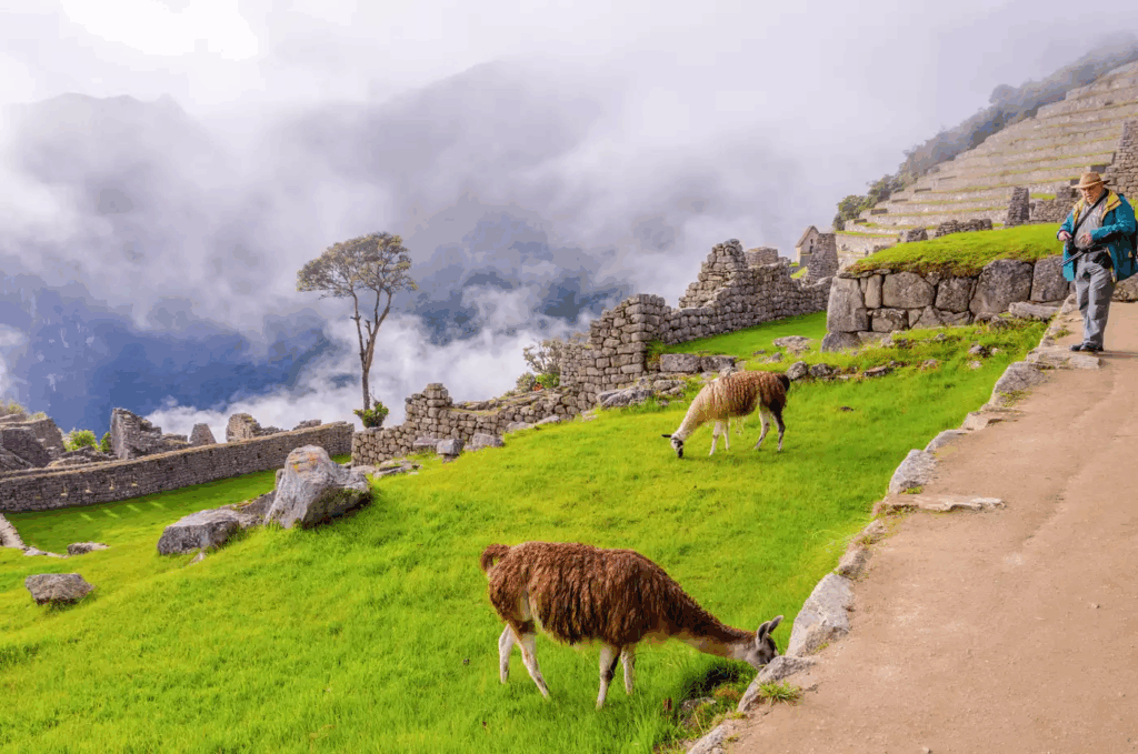 Wonders of Peru, Lima, Cusco and Machu Picchu Peru